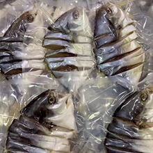 咸魚-咸魚批發、促銷價格、產地貨源 